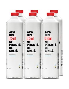 Bax Apa Plata 6 x 2l - PET
